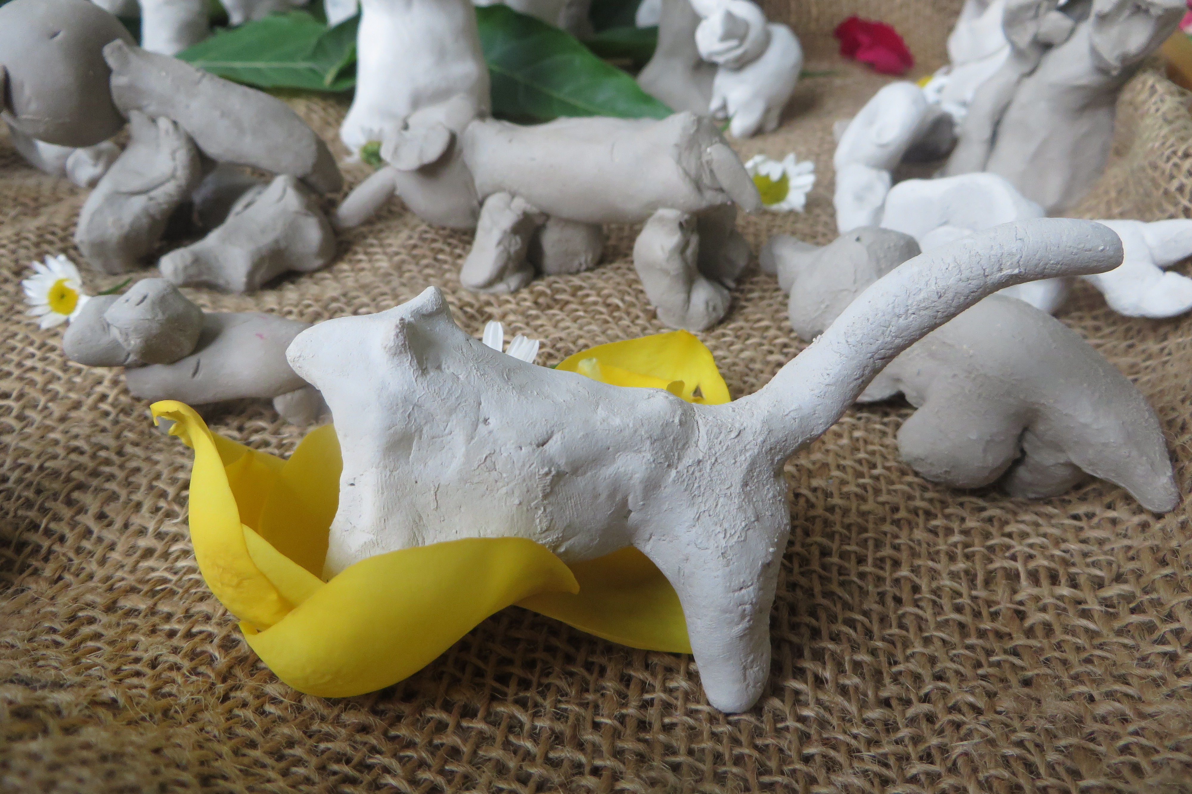 Unsere Welt als Tiere der Klasse
Klasse 2a - Schuljahr 2017/2018