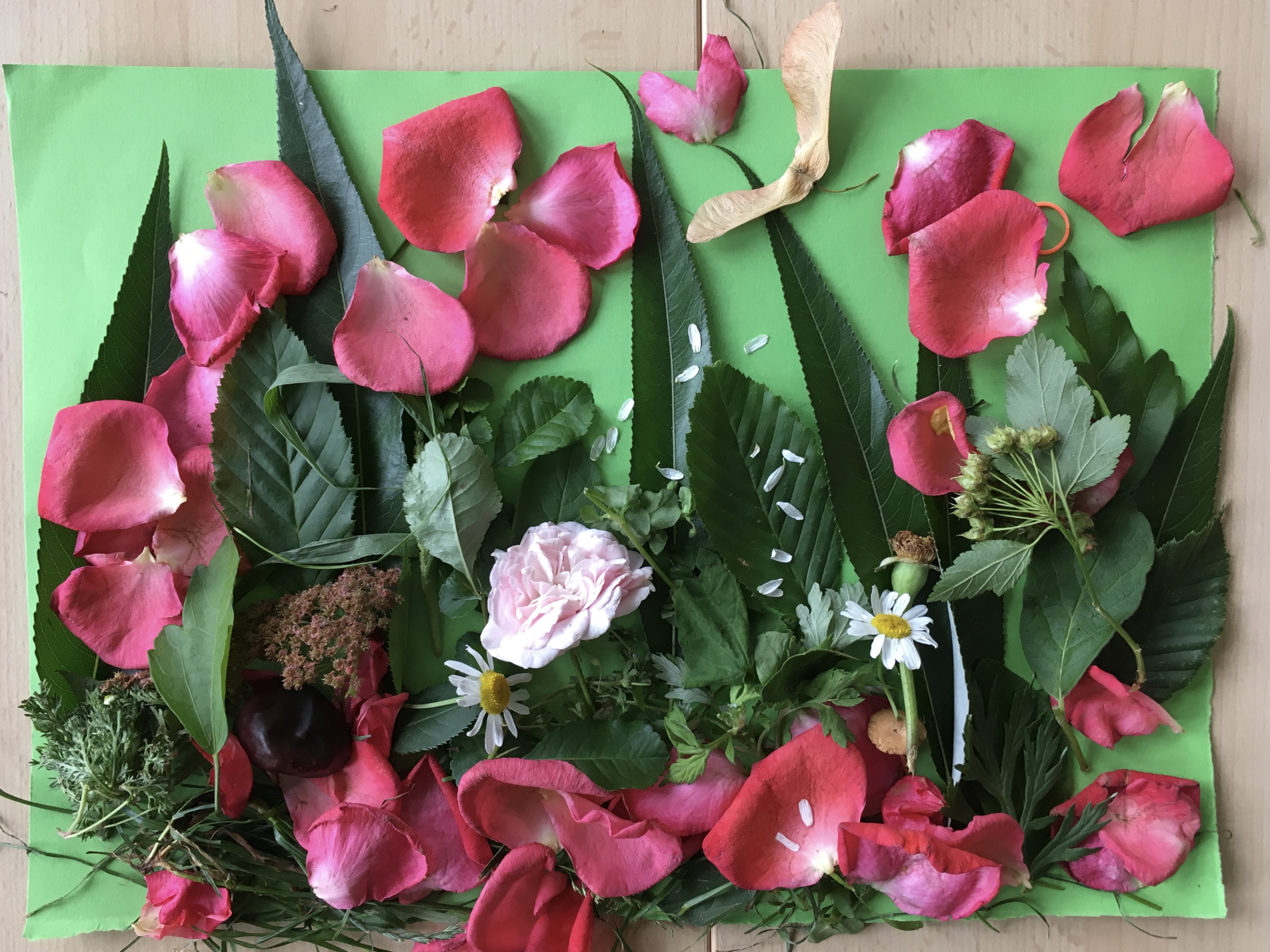 Fr&uuml;hlingsgef&uuml;hle - Blumenkomposition 
Klasse 1b - Schuljahr 2017/2018